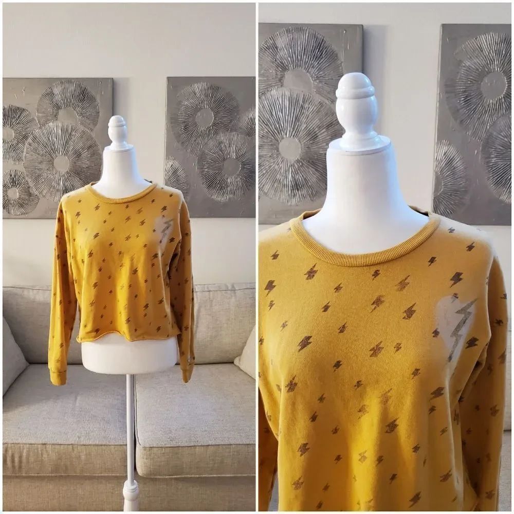 Junk F ood Clothing Lightning Bolt Heart Cropped Sweatshirt Sz Small